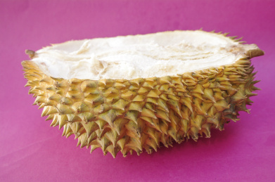 榴莲 榴莲 韶子 麝香猫果