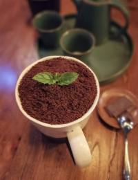 盆栽奶茶 亚洲 中国