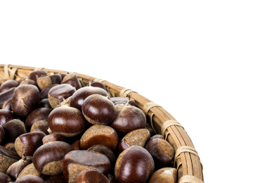 白背景上现摘新鲜板栗