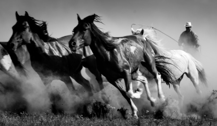 锡林郭勒大草原