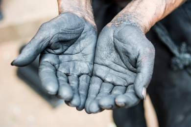 dirty hands with soil plant.