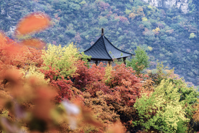 北京房山坡峰岭红叶