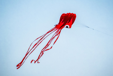 红色水母风筝 蓝天