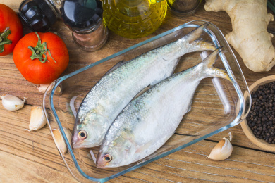 新鲜海鰶鱼特写