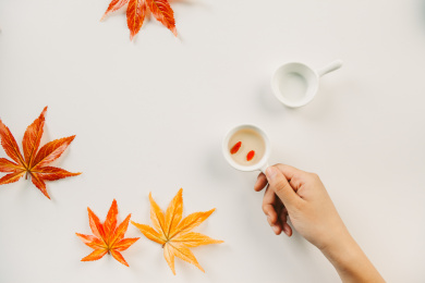 白色背景与枫叶