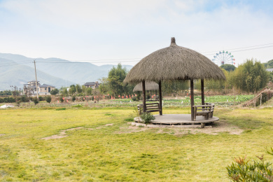 余杭径山镇阳光农场