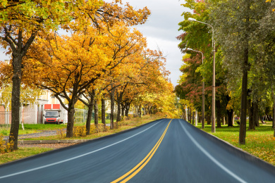 俄罗斯秋色  公路