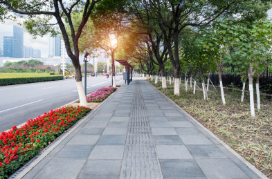 城市道路边上的公交车站空白的广告牌