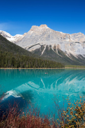 加拿大班芙国家公园秋天美景