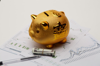 储蓄 货币 金融