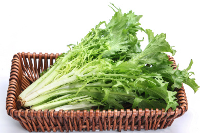 苦苣放在白色背景上