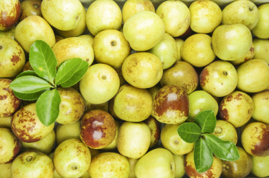 冬枣 冬枣 雁来红