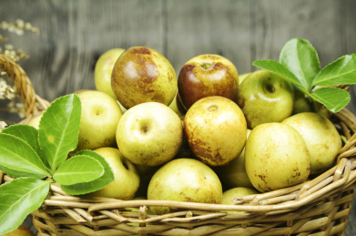 冬枣 冬枣 雁来红