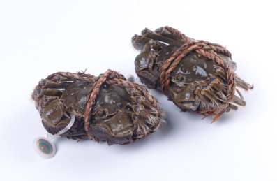 新鲜阳澄湖大闸蟹