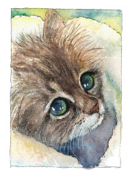 猫咪水彩
