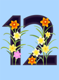 flower    number   figure  digit    Calendar 2018 花 数字 植物 背景 艺术性  花簇 矢量 花样 花瓣  插图 插画 12月 12