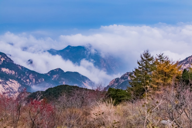 山东省泰安市泰山自然景观