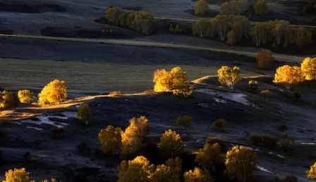 中国内蒙坝上草原 