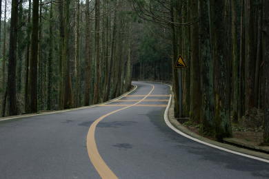 森林公路