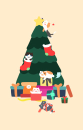 gift and  cat  礼物与猫咪
