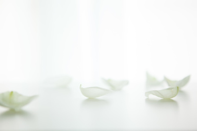 白色，白底，桌子，白桌，窗户，窗帘，花瓣，北欧，撒花，玫瑰