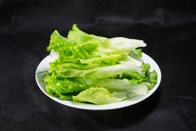 生菜 新鲜 健康 蔬菜