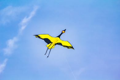 仙鹤风筝 蓝天 蓝色