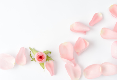 玫瑰花和花瓣