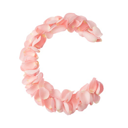 粉色的鲜花花瓣拼出来的英文字母C