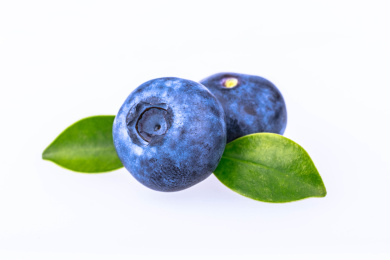 蓝莓静物特写 蓝色浆果