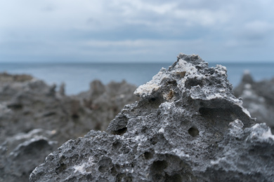 努沙杜瓦海边的火山岩礁石特写