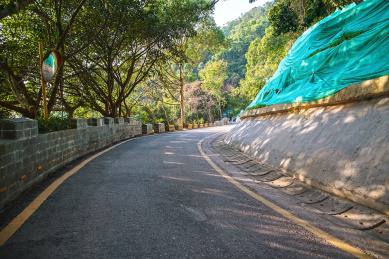 深圳塘朗山郊野公园的盘山公路
