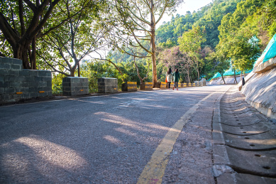 深圳塘朗山郊野公园的盘山公路