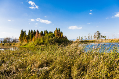 昆明南滇池国家湿地公园