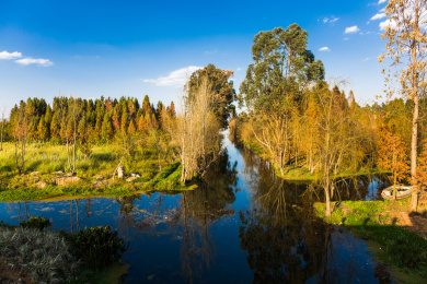 昆明南滇池国家湿地公园