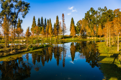 昆明南滇池国家湿地公园