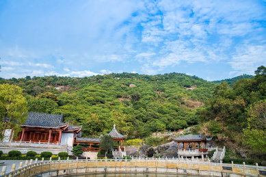 深圳羊台山森林公园一角