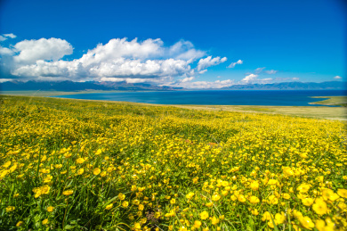 中国新疆博尔塔拉州博乐市赛里木湖春季风光