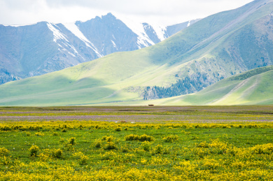 中国新疆博尔塔拉州博乐市赛里木湖春季风光