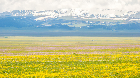 中国新疆博尔塔拉州博乐市赛里木湖春季风光
