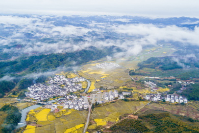 航拍婺源，村子里的油菜花
