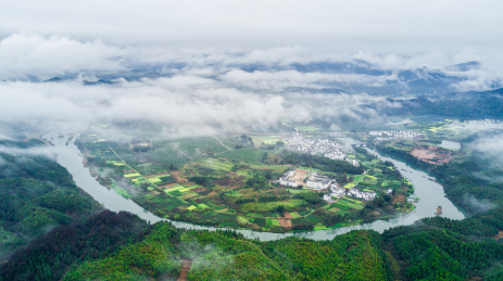 航拍婺源，村子里的油菜花