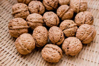 核桃 胡桃 胡桃 核桃