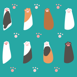 猫爪  devil's-claw 