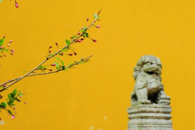 法喜寺墙 法净寺 黄色墙