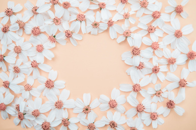 春天美丽的白色花朵海报素材