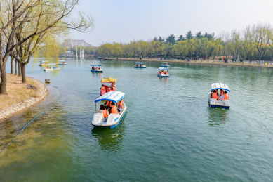 襄阳公园划船图片