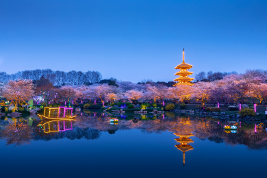 武汉东湖樱园夜景