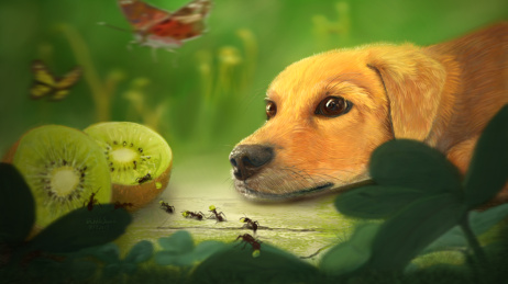 插画狗在丛林里躺着看蚂蚁搬运猕猴桃