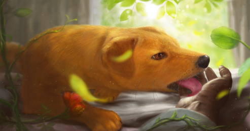 插画第一人称视角狗舔人的手